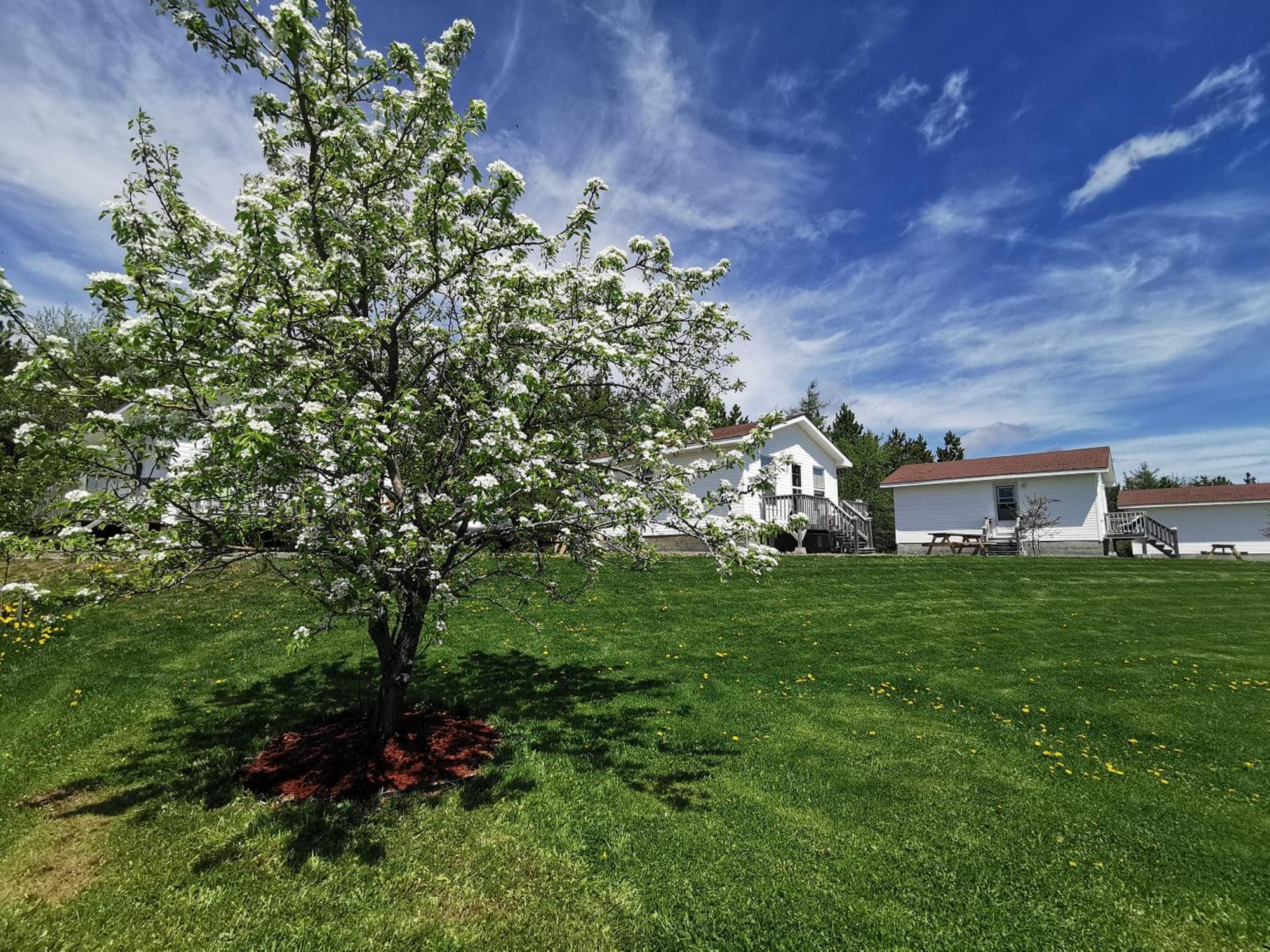 L'Ancrage B&B And Cottages Saint Louis de Kent Esterno foto
