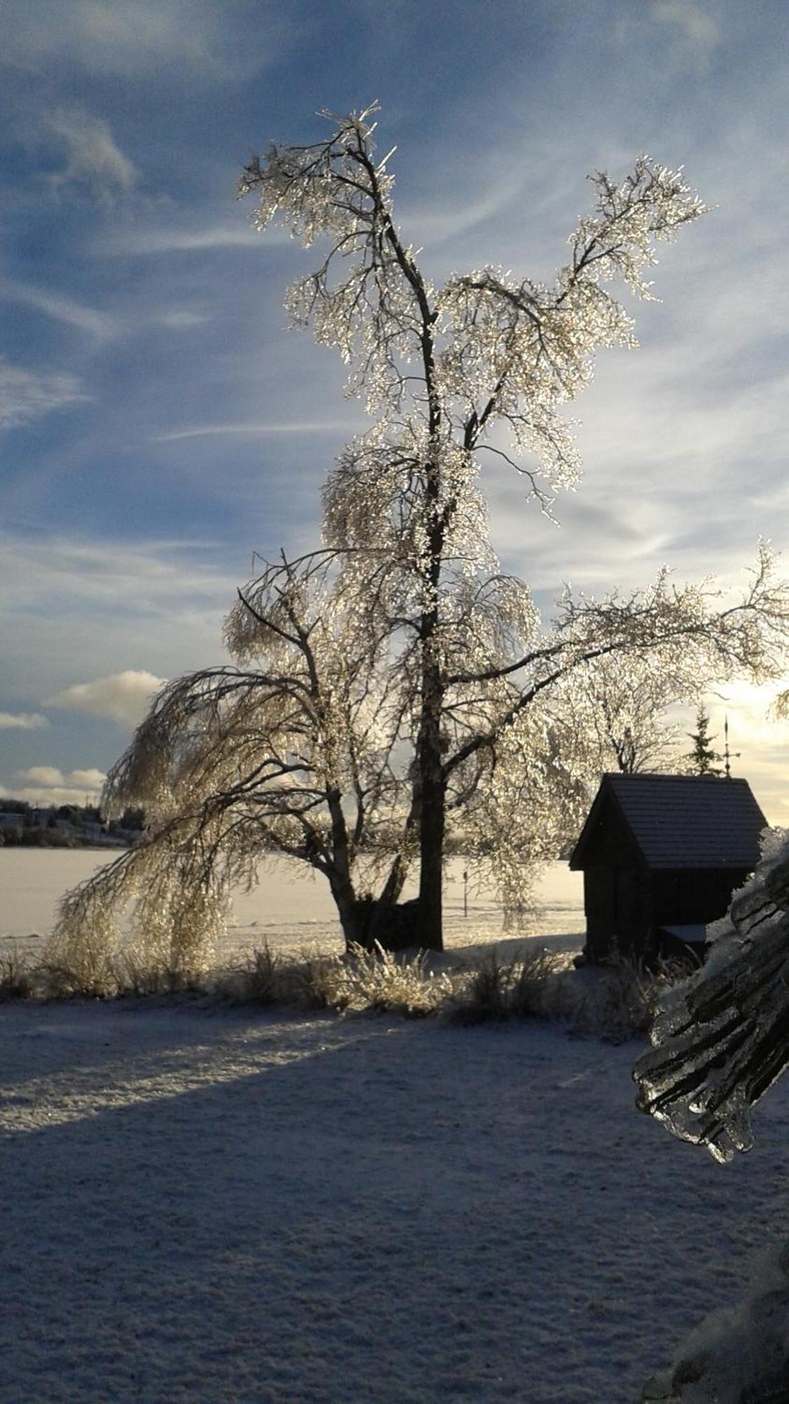 L'Ancrage B&B And Cottages Saint Louis de Kent Esterno foto